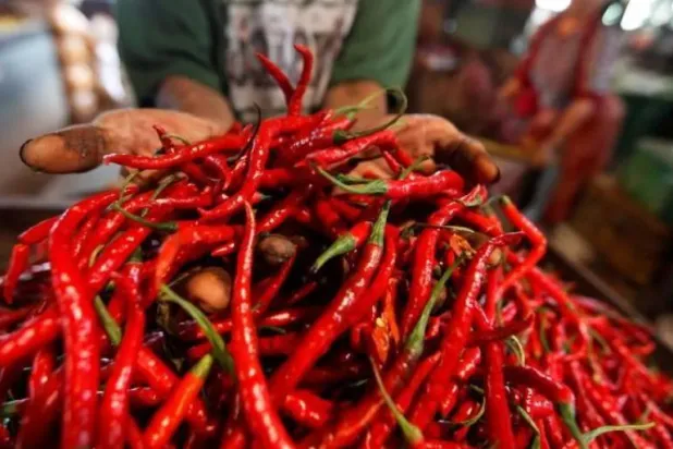 الفلفل الحار يمكن أن يقلل خطر الإصابة بسكري الحمل (رويترز)