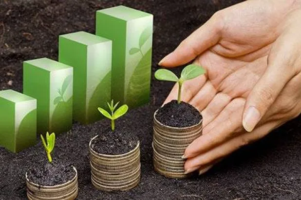 نمو الاستثمار المستدام مع ازدهار المشاريع البيئية والاقتصادية (صندوق النقد الدولي)