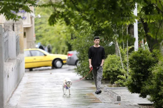 بضع خطوات بسيطة قد تُخفف التوتر وتدعم صفاء الذهن وتُساعد على تحسين الدورة الدموية (أ.ف.ب)