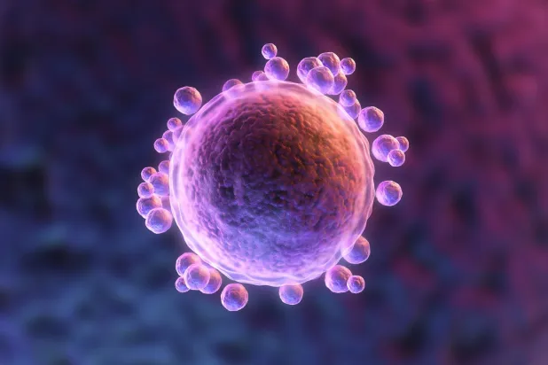 خلايا البويضة البشرية تتمتع بآلية حمائية طبيعية