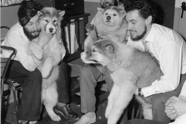 عالم الأرصاد الجوية دينيس بيل (يسار) مع زملائه والكلاب التي ساعدتهم في العمل بأنتاركتيكا - منتصف شتاء عام ١٩٥٩ (موقع هيئة «بريتيش أنتاركتيك سورفيه»)