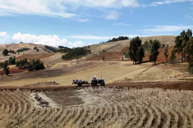 مزارع في جبال الأنديز بالبيرو... تُزرع نبتة الماكا تاريخياً في مرتفعات الأنديز (رويترز)