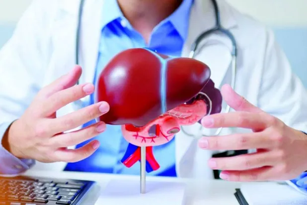 6 معلومات قد تهمك عن الكبد الدهني