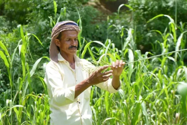 Flash floods may cause severe damage to agriculture (UN)