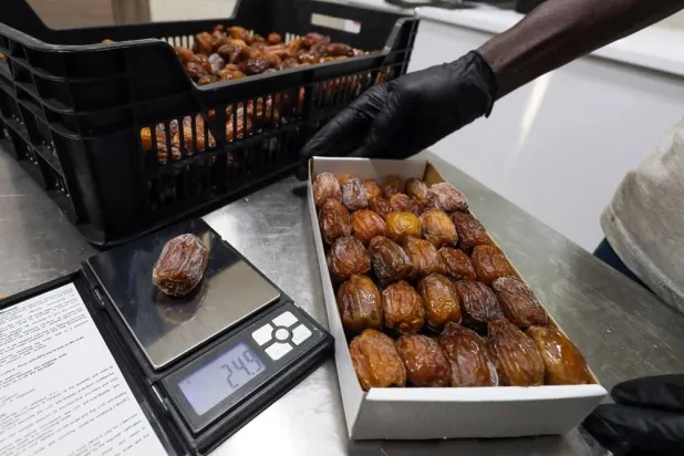 حفنة صغيرة من التمر تُوفّر مجموعةً من العناصر الغذائية (أ.ف.ب)