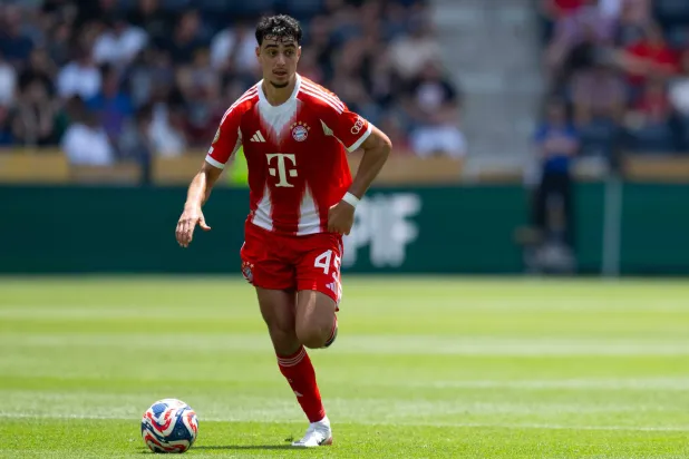 المهاجم الدولي ألكسندر بافلوفيتش (د.ب.أ)