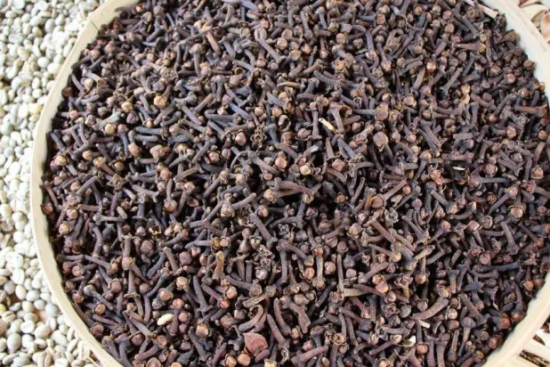 عيدان من القرنفل (بيكسباي)