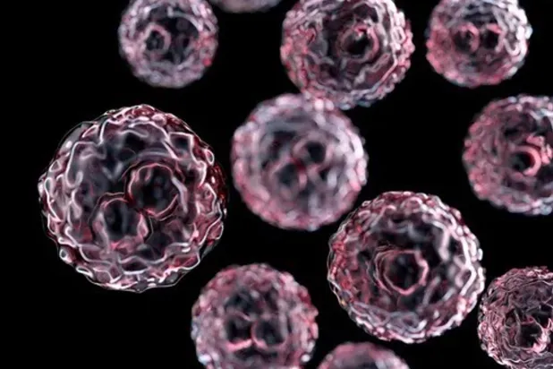 تصوير توضيحي للخلايا النانوية (الشرق الأوسط)