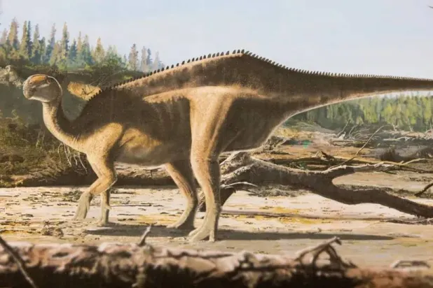 شراع على ظهر ديناصور؟ العلم يدهشنا من جديد (فيسبوك)