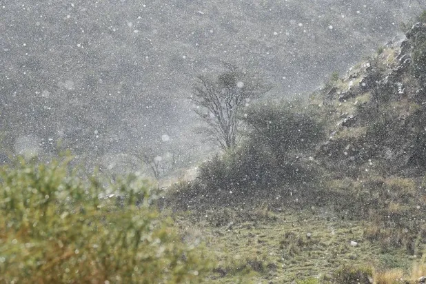 طقس ماطر يكسر قواعد المألوف من لهيب الصيف ودرجاته العالية (واس)