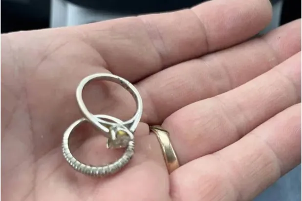 بحث عن الحب بين القمامة (حساب ستيف فان ييسيلدايك)