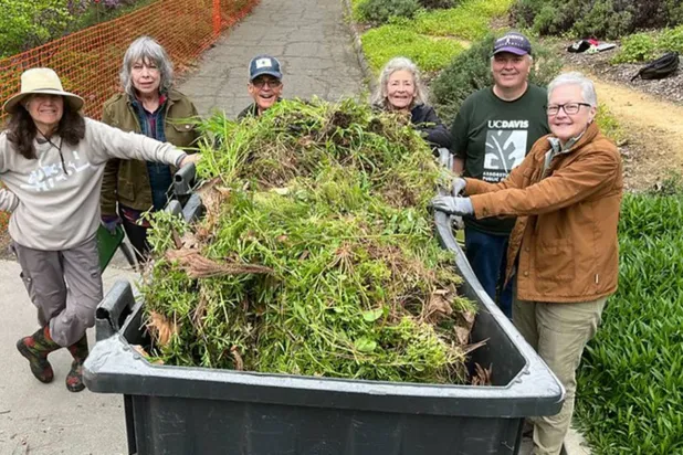 متطوعون للعمل في حديقة جامعة كاليفورنيا (جامعة كاليفورنيا)