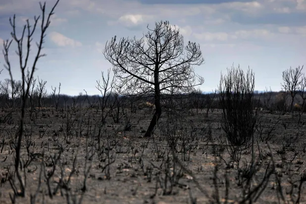 لقطة تُظهر الدمار الذي خلفه حريق غابات في قرية كوبو دي بينافينتي بزامورا شمال غربي إسبانيا (أ.ف.ب)