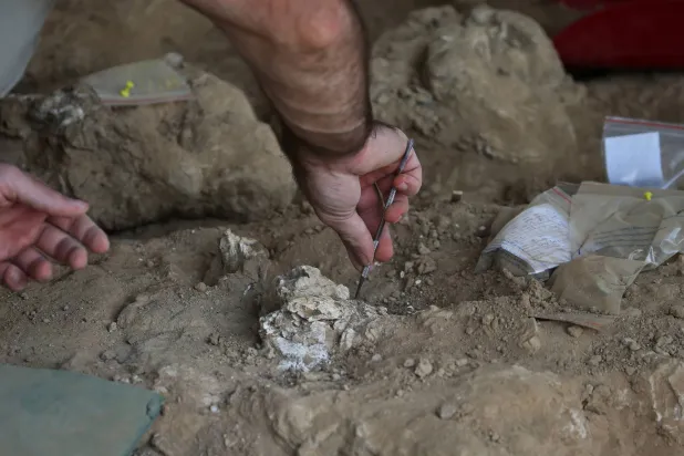 Archaeologists in Georgia Unearth 1.8-million-year-old Human Jawbone