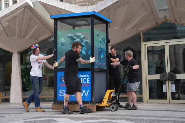 «أسماك البرانا» تكشف عن بصمة بانكسي المتمرّدة (غيتي)