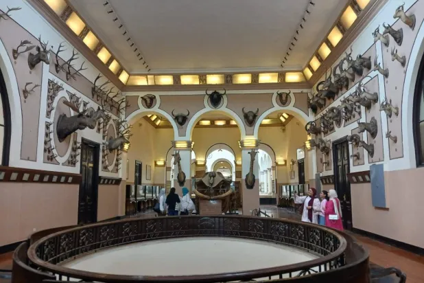 جدران تعرض لتاريخ سلالات الغزال في مصر (الشرق الأوسط)