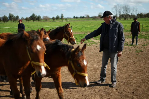 المؤسِّس المُشارك لشركة «خيرون» للتكنولوجيا يداعب أحد أول الخيول المعدلة وراثياً (رويترز)