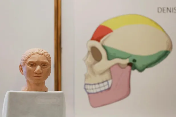 Denisova insanlarının soyunun yaklaşık 50 bin yıl önce tükendiği düşünülüyor (Reuters)