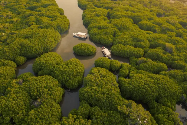 يسعى المركز إلى تحقيق الهدف «30X30» من خلال حماية 30% من مساحة المملكة البرية والبحرية بحلول عام 2030 (الشرق الأوسط)