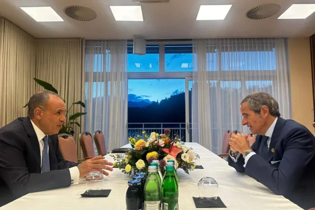 وزير الخارجية المصري يجتمع مع المدير العام للوكالة الدولية للطاقة الذرية (الخارجية المصرية)
