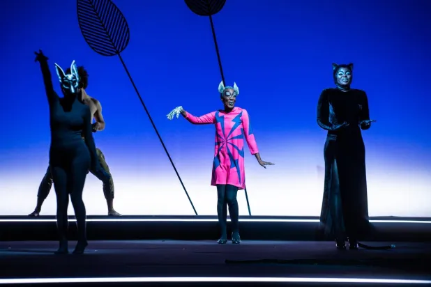 افتتاح المهرجان شهد عروضاً استعراضية (إدارة المهرجان)