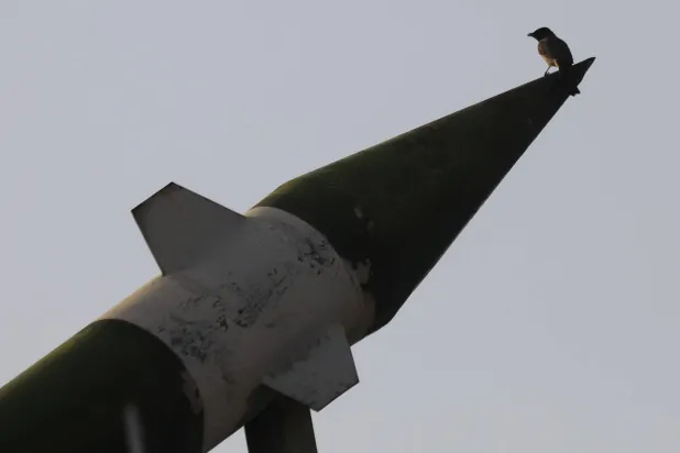 طائر يقف على مقدمة صاروخ وهمي نصبه الحوثيون في أحد شوارع صنعاء (إ.ب.أ)