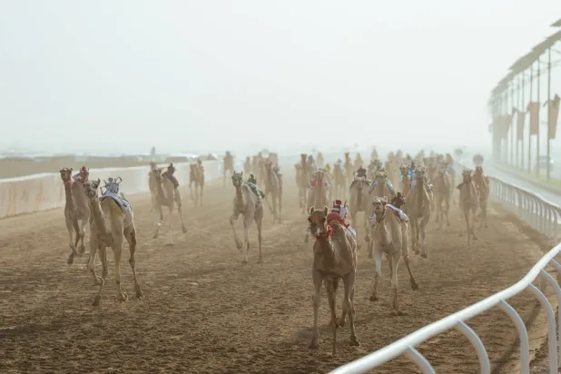 أسهم المهرجان منذ انطلاقه في تحقيق عوائد اقتصادية وتنموية (واس)