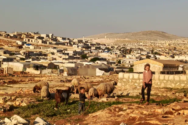 طفلة ترعى أغنامها خارج المخيم في إدلب (الشرق الأوسط)