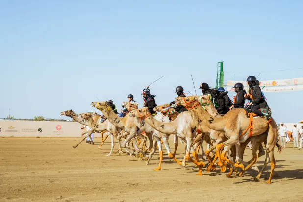 أرقام قياسية للهجانات السعوديات (الشرق الأوسط) 