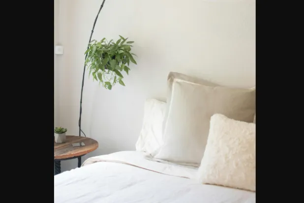 نبتة صغيرة تظهر إلى جانب سرير داخل غرفة نوم (بيكسيلز)