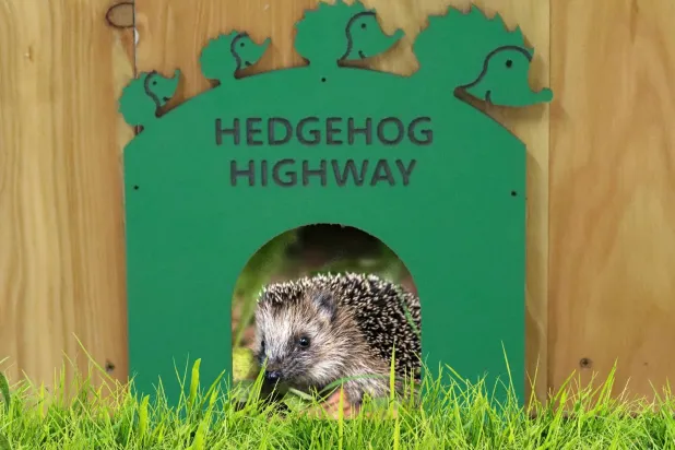 نافذة قد تُنقذ حياة طائر (مجتمع الحياة البرّية)