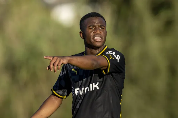 نجم كرة القدم يوسوفا موكوكو (د.ب.أ)