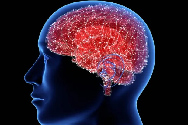 أمراض «التنكس العصبي» مثل «ألزهايمر» تؤدي لفقدان تدريجي للخلايا العصبية (جامعة كوينزلاند)