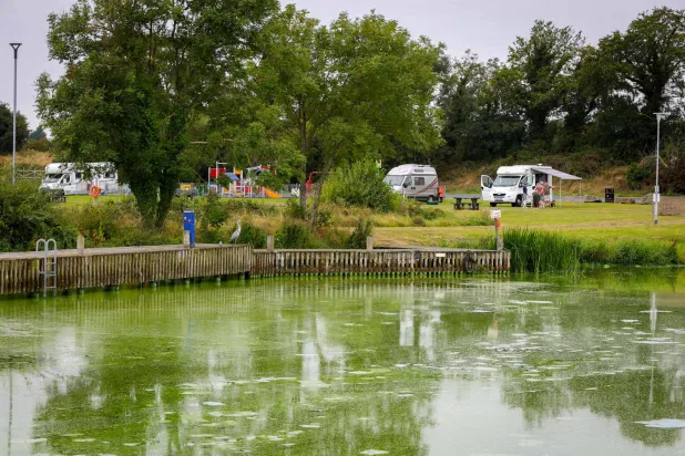 مياه بحيرة لوك ناي في آيرلندا الشمالية ملوثة بالطحالب الخضراء (أ.ف.ب)