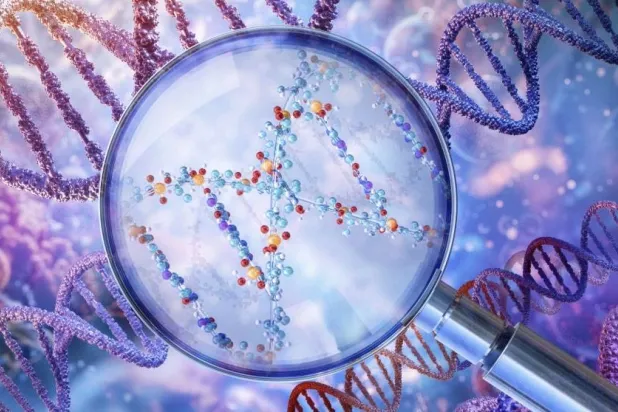 أداة حاسوبية بالذكاء الاصطناعي تحدد لحظة نشاط الجينات