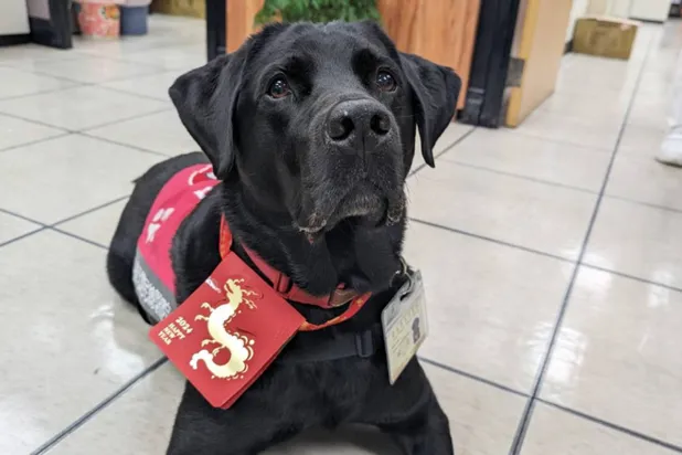 بطل بلطفه (مستشفى تايبيه)