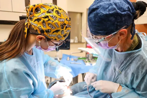 أمراض اللثة من أكثر المشكلات الصحية شيوعاً عالمياً (جامعة فرجينيا كومونولث)