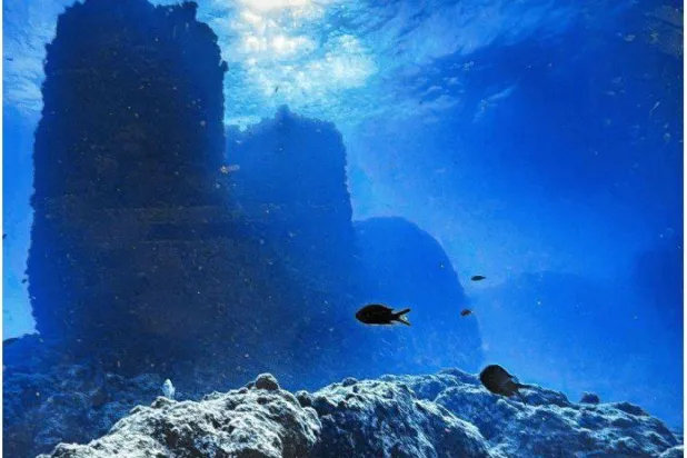 جانب من الاكتشاف الأثري (وزارة السياحة والآثار)