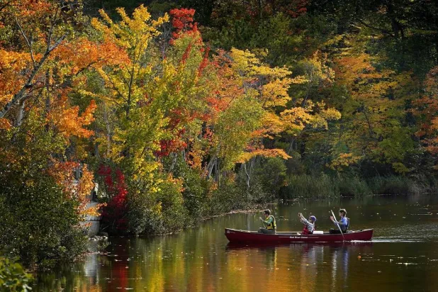 A passenger on a canoe photographs the brilliant fall foliage on South Pond, Oct. 9, 2021, in Bryant Point, Maine. (AP)