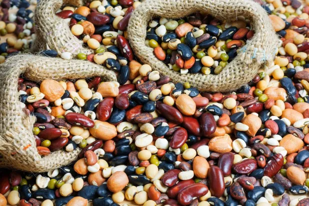 البقوليات تعد خياراً غذائياً مناسباً لتعويض اللحوم (جامعة هارفارد)