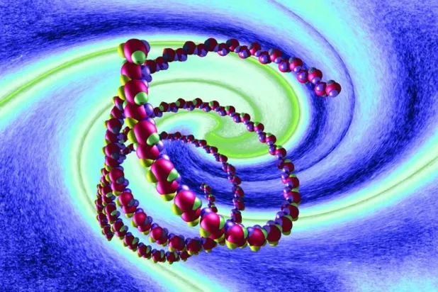 جين واحد يفسّر التباين بين الرجال والنساء في مقاومة الأمراض