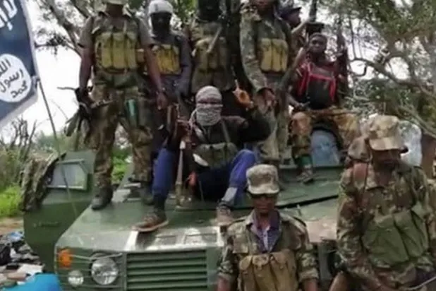 عناصر من تنظيم «داعش» في موزمبيق (متداولة)