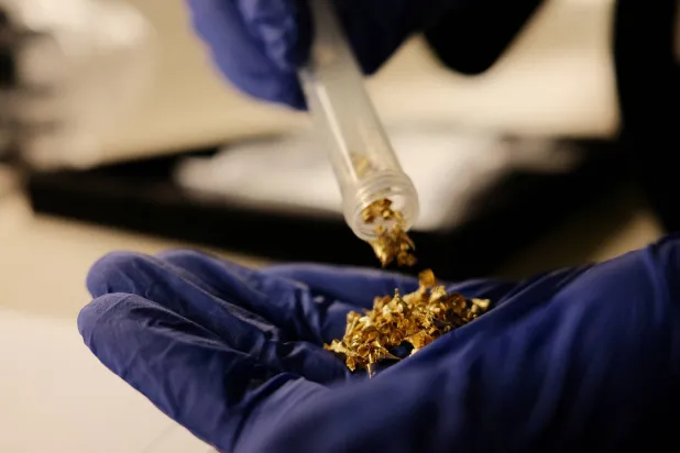 شخص يعرض عينات من برنامج تتبع الذهب (أوروتيكا) في برازيليا (رويترز)