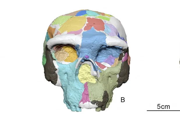 ملامح قديمة تُعيد رسم قصة البشر (رويترز)