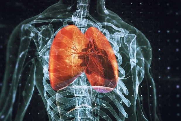 الأمراض التنفسية من أخطر ما يصيب الرئتين (جامعة ولاية مورغان الأميركية)