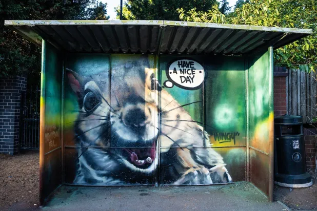 انتظار الحافلة يصبح موعداً مع الفنّ (فيسبوك)