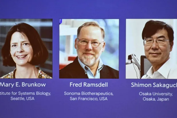 الأميركيان ماري برونكو وفريد رامسديل والياباني شيمون ساكاغوتشي في صورة الإعلان عن الفائزين بجائزة «نوبل للطب 2025» (أ.ف.ب)