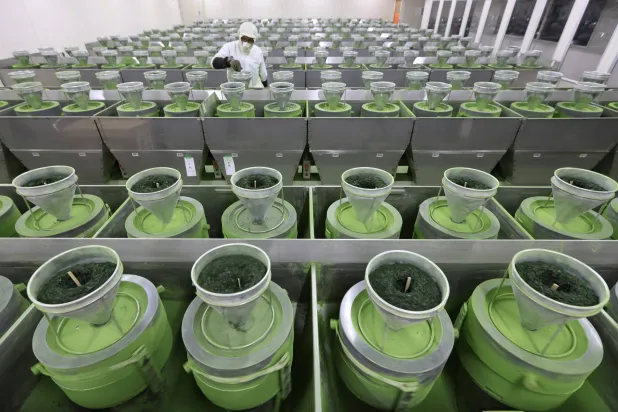 إن تناول شاي الماتشا يوميًا يُمكن أن يُؤثر بشكل إيجابي على مستويات طاقتك وصحتك العامة (رويترز)