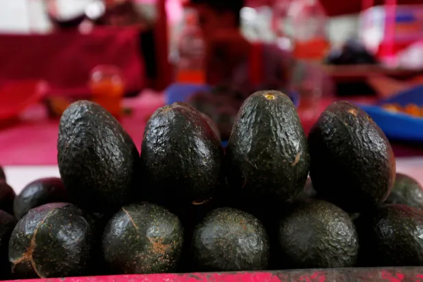 ليست كل أنواع الأفوكادو التي تتحول إلى اللون البني آمنة للأكل (رويترز)