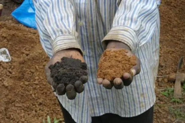 مزارع يحمل في كفيه حفنة من الفحم الحيوي والتراب